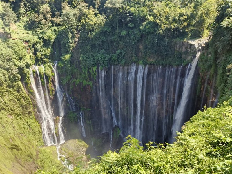 4D Bali to Java – Ijen, Tumpak Sewu and Bromo Sunrise Tour - Surabaya / Malang 4D Bali to Java – Ijen, Tumpak Sewu & Bromo Sunrise Tour - Surabaya / Malang Embark on an unforgettable 4-day overland journey from Bali to East Java! Witness the world-famous Blue Fire of Mount Ijen, explore the stunning Tumpak Sewu  Ijen to Bromo Tour