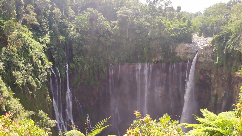 Ijen to Bromo tour package from Yogya, includes to Jomblang cave, Pindul cave and Tumpak Sewu - end in Bali 5D Adventure trail and culture tour in Java Island then to Bali for 5 days trip Adventure travel package, for Ijen to Bromo tour from Yogyakarta, includes to Jomblang cave, Pindul cave and Tumpak Sewu - end in Bali within 5 days trip
 Ijen to Bromo Tour