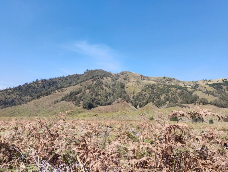 Bromo Ijen exploring tours to your hotel in Bali 5D Bromo Ijen exploring tours and drop off service to your hotel in Bali 5D Bromo Ijen exploring tours for best holiday travel in East Java and drop off service to your hotel in Bali within 5 days 4 nights tour package Ijen to Bromo Tour