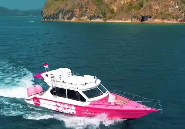 Day cruise to Komodo Island tour by Amankila speedboat Day cruise by Amankila speedboat to island hopping, and Komodo dragon tours Day cruise by Amankila speed boat to island hopping, and Komodo dragon tours which suitable for a natural lover, national park trekking and get snorkeling tour Ijen to Bromo Tour