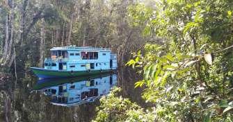 Tumpak Sewu waterfall to Ijen tour, and continue to Orangutan tours Borneo 6D5N Tumpak Sewu waterfall to Ijen tour, and continue to Orangutan tours Borneo 6D5N Tumpak Sewu waterfall to Ijen tour, and continue to Orangutan tours Borneo for natural lover trip and vacation travel package within 6 days 5 nights Ijen to Bromo Tour